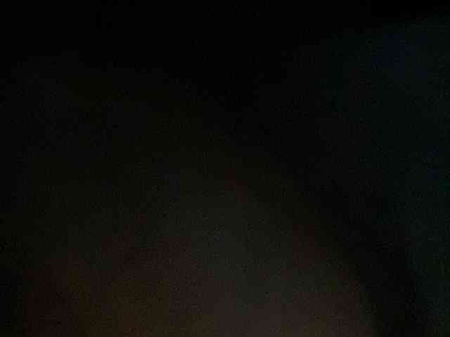 Rainie webcam