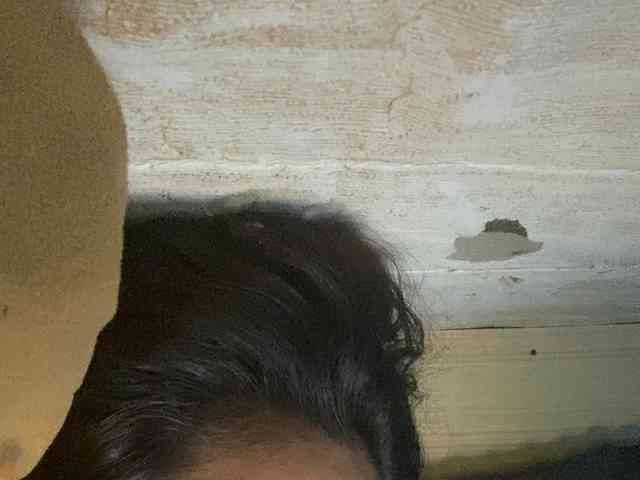 Rainie webcam