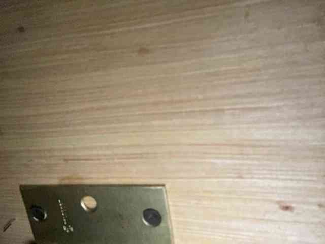 Rainie webcam
