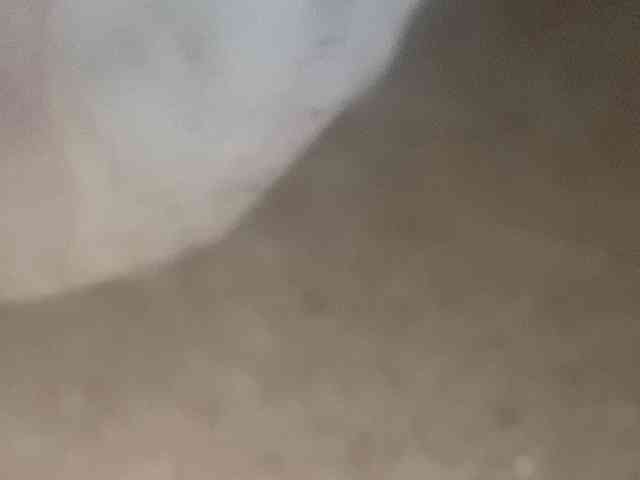Rainie webcam