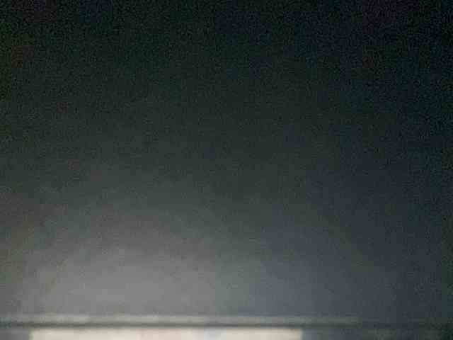 Rainie webcam