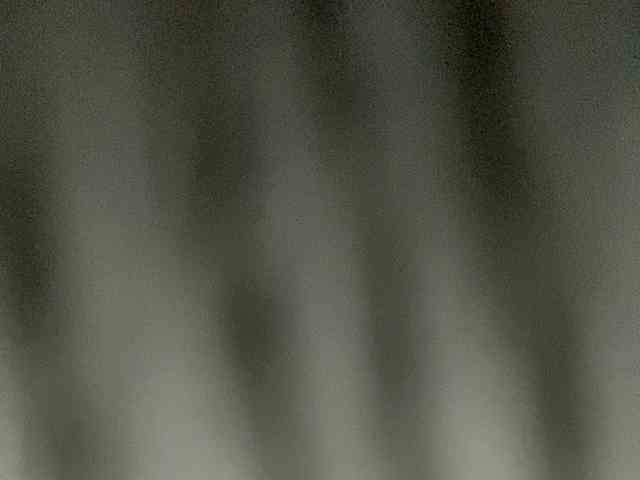 Rainie webcam