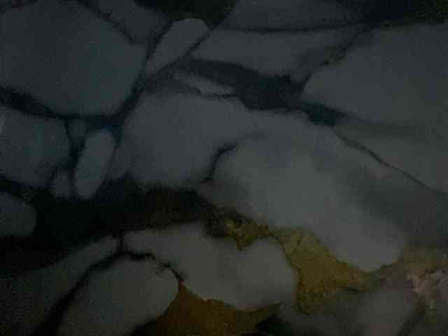 Rainie webcam