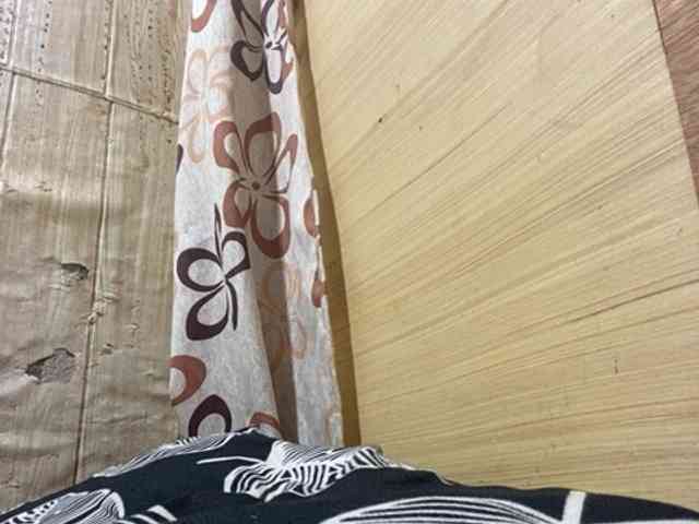 Rainie webcam