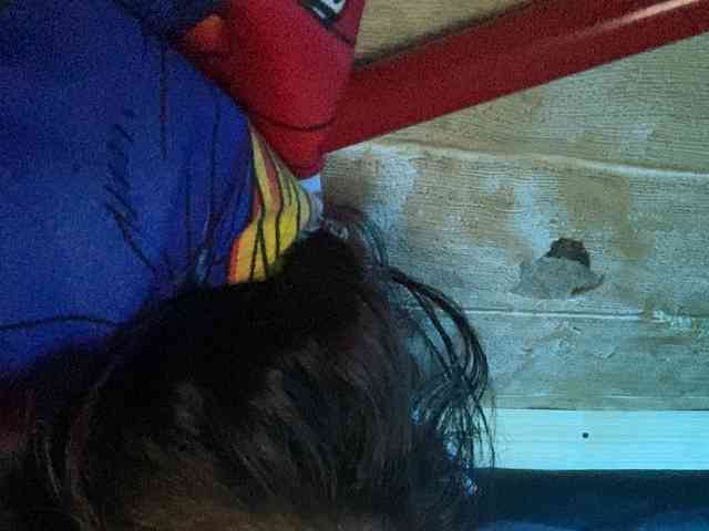 Rainie webcam