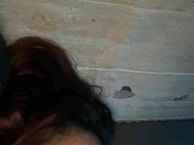 Rainie webcam