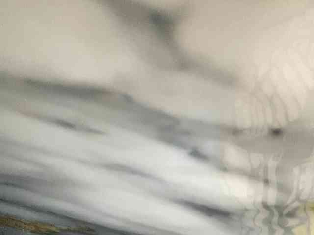 Rainie webcam