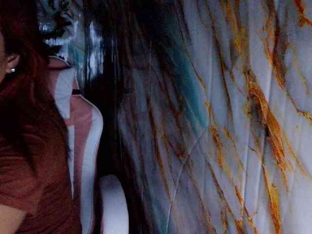 rasberrykat webcam
