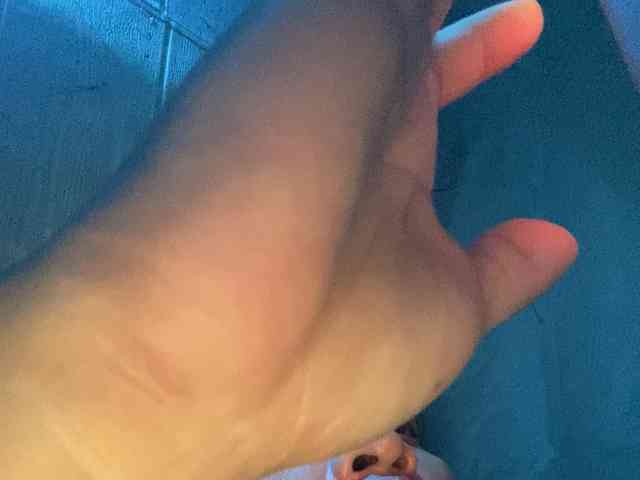 Rainie webcam