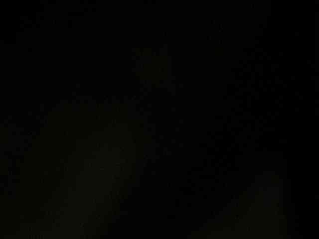 Rainie webcam