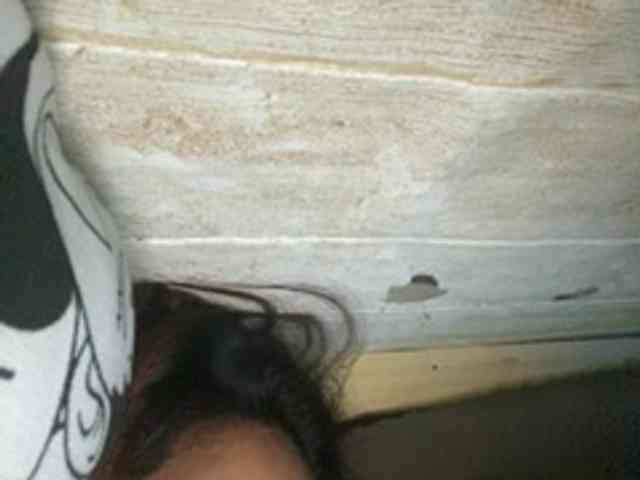 Rainie webcam