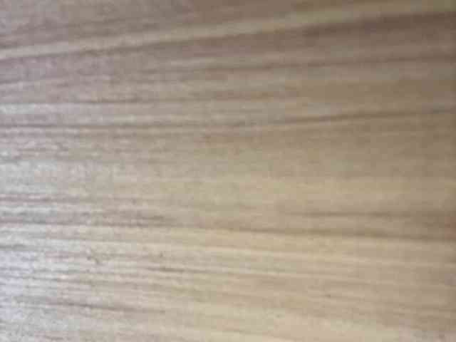 Rainie webcam