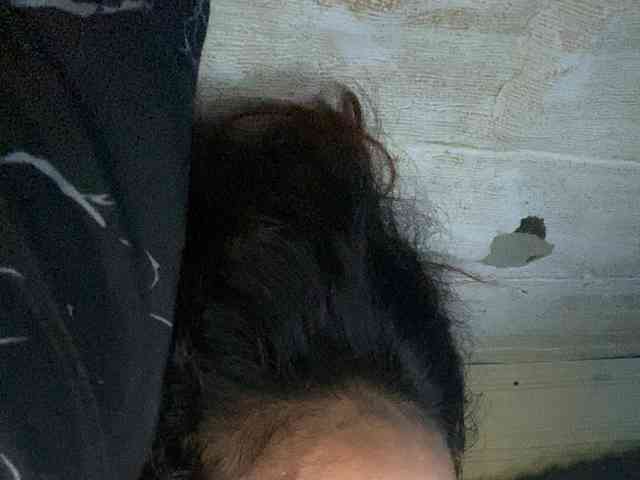 Rainie