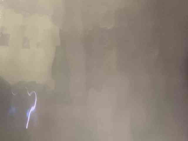 Rainie webcam