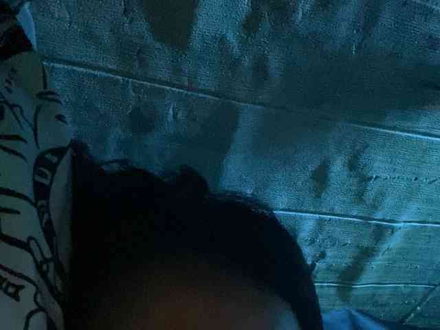 Rainie webcam