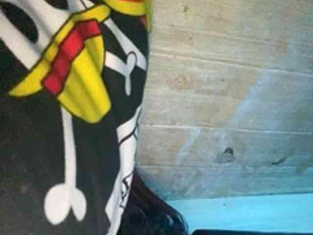 Rainie webcam