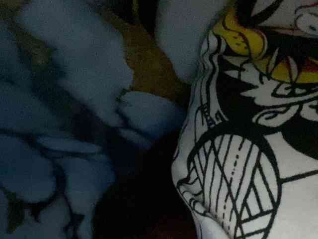 Rainie webcam