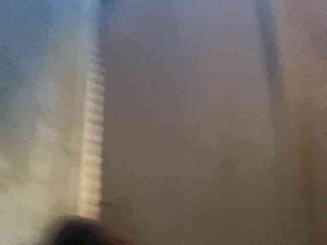 Rainie webcam