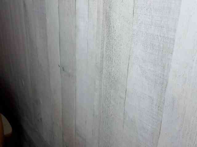 Rainie webcam