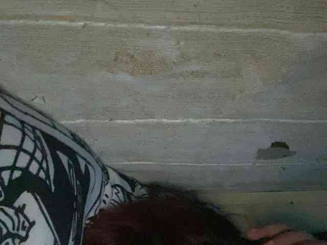 Rainie webcam