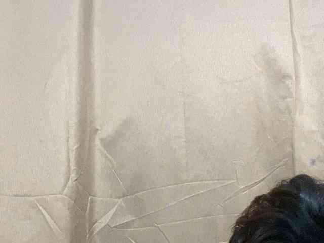 Rainie webcam