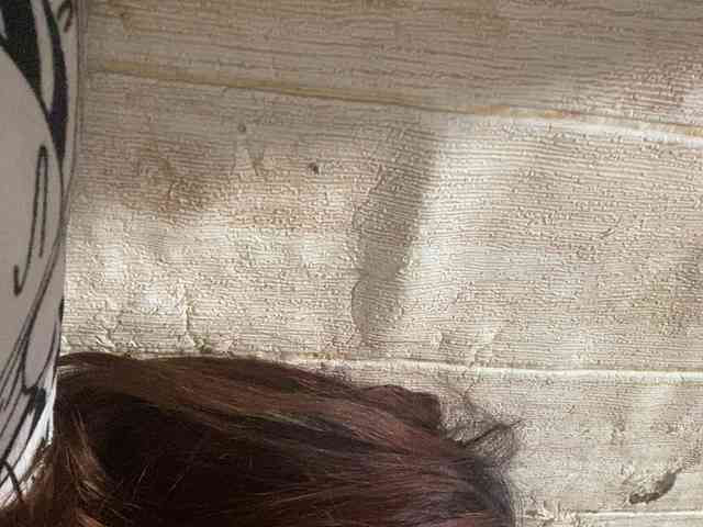 Rainie webcam