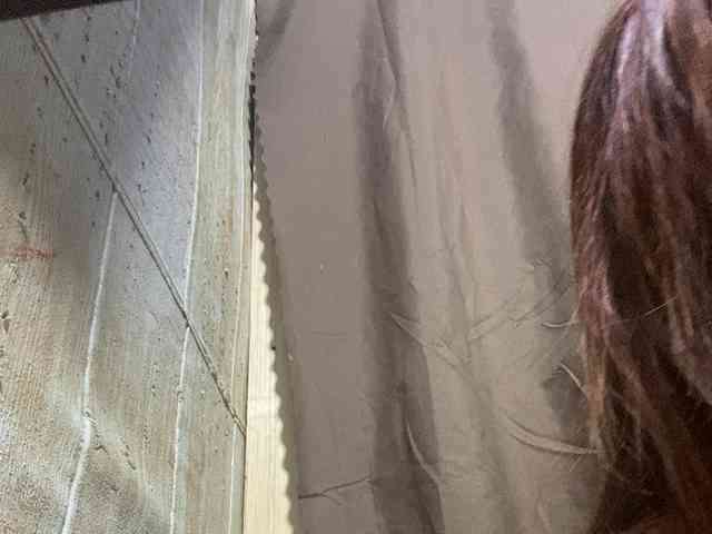 Rainie