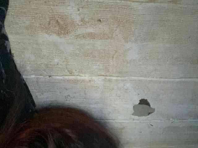 Rainie webcam