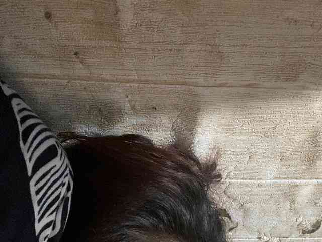 Rainie