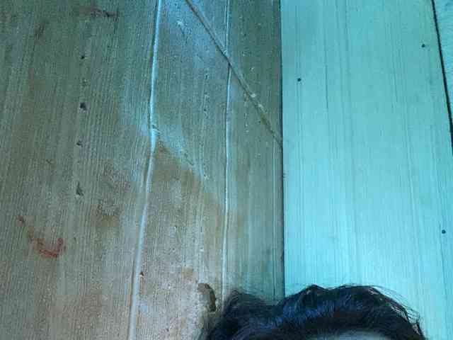Rainie webcam