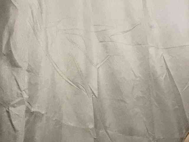 Rainie webcam