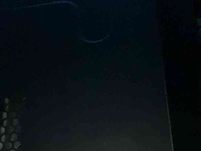 Rainie webcam