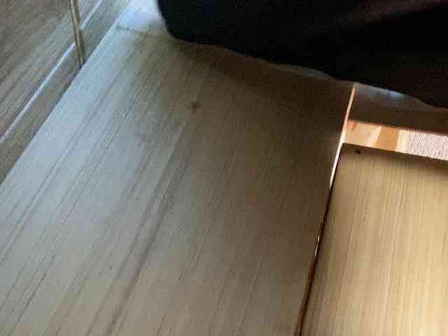 Rainie webcam