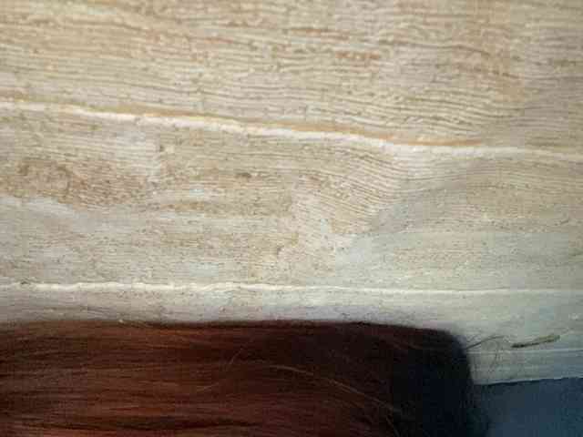 Rainie