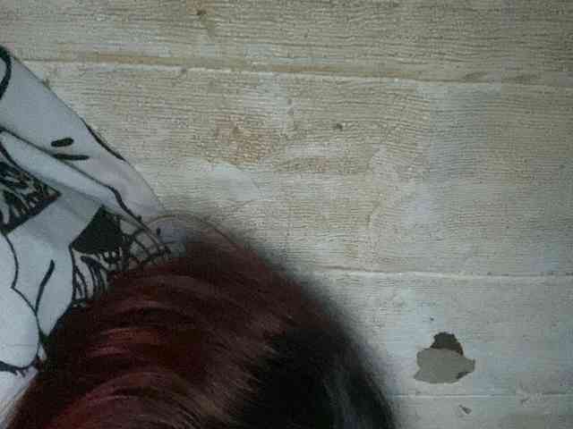 Rainie webcam