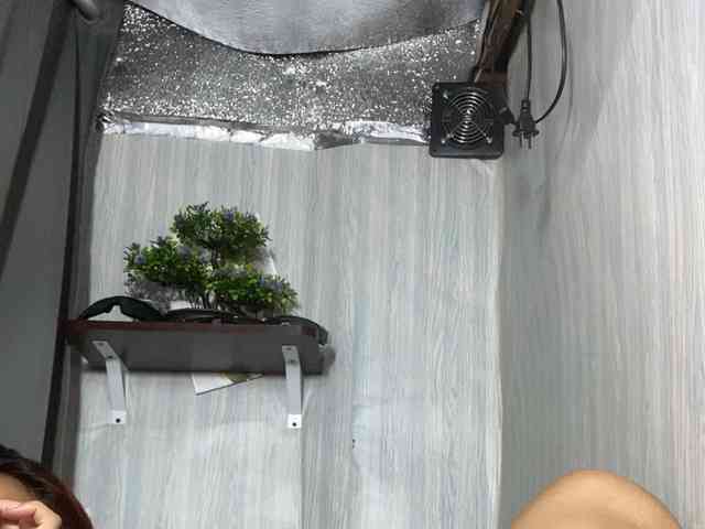 Rainie webcam