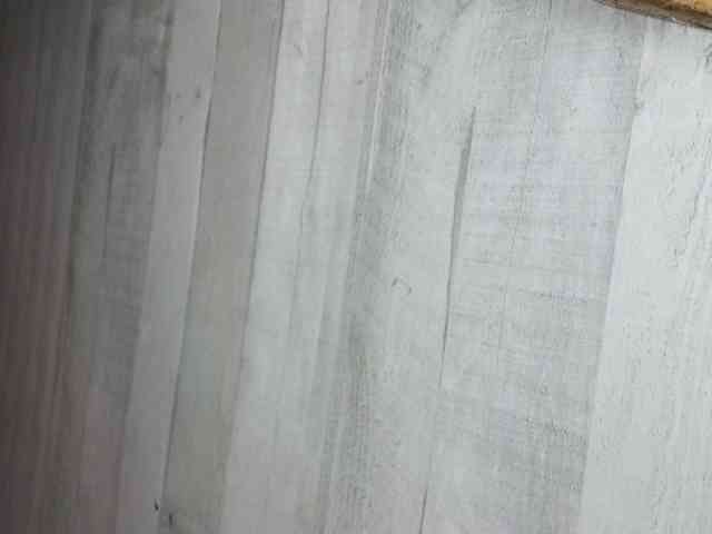 Rainie webcam