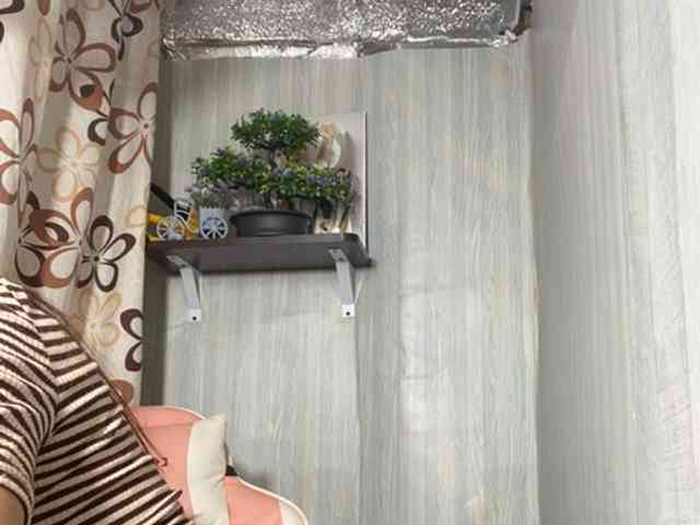 Rainie webcam