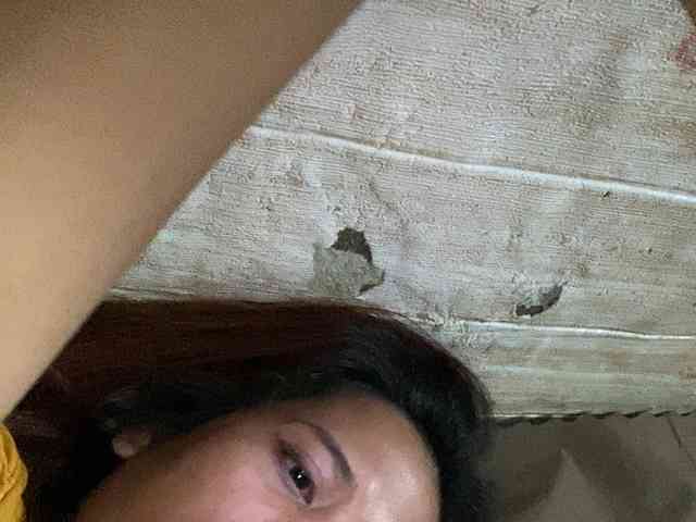 Rainie webcam