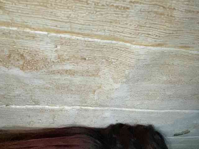 Rainie