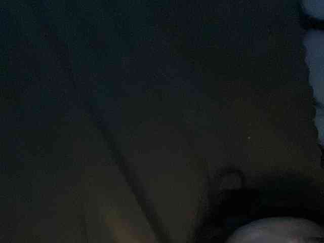 Rainie webcam
