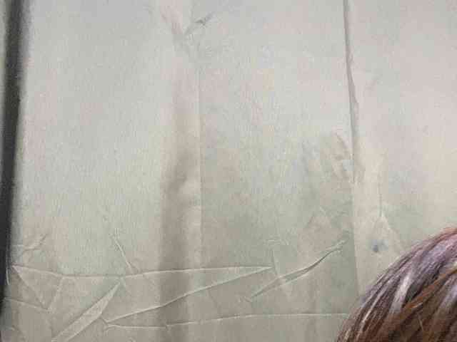 Rainie webcam
