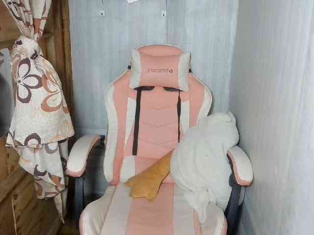 Rainie webcam