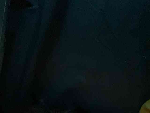 Rainie webcam