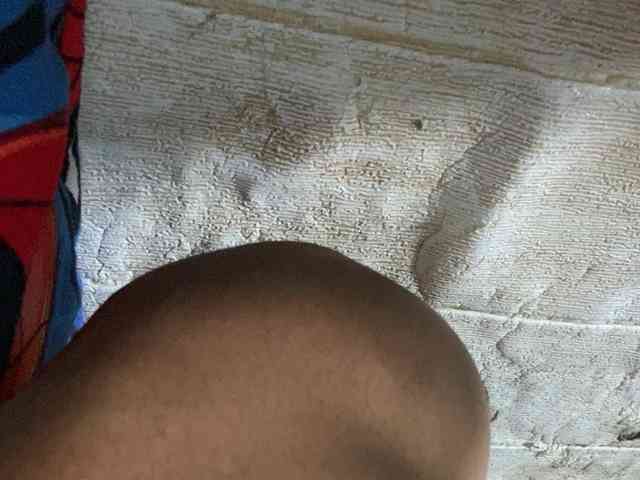 Rainie webcam