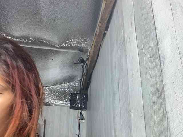 Rainie webcam