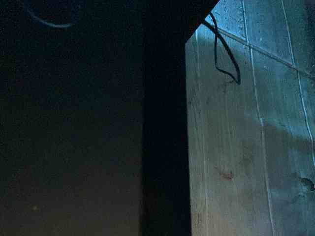 Rainie webcam