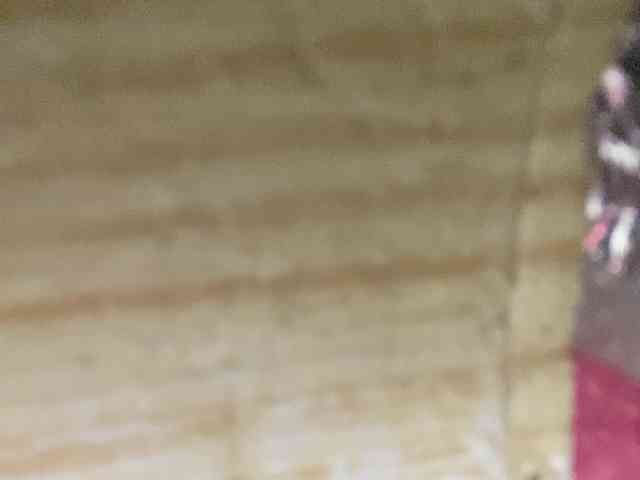 Rainie webcam