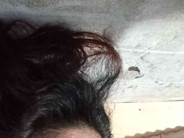 Rainie webcam