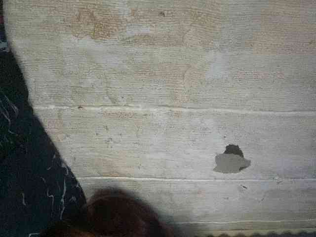 Rainie webcam